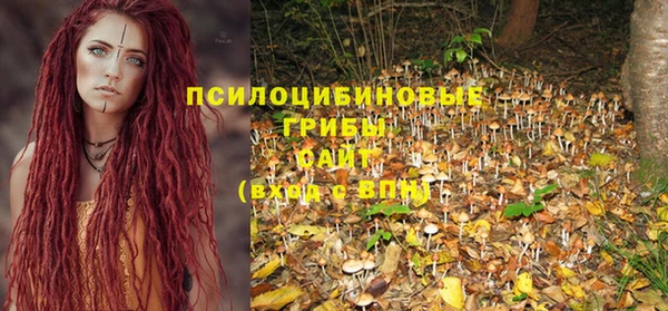 не бодяженный Алзамай