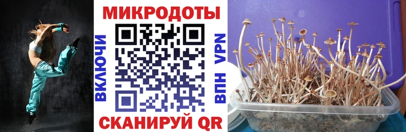Псилоцибиновые грибы Magic Shrooms Сочи