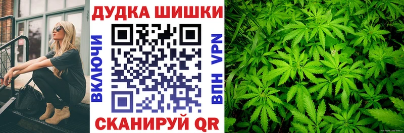 закладки  Сочи  Канабис сатива 